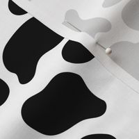 Holstein cow - dairy cow - cow spots -  LAD20