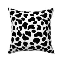 Holstein cow - dairy cow - cow spots -  LAD20