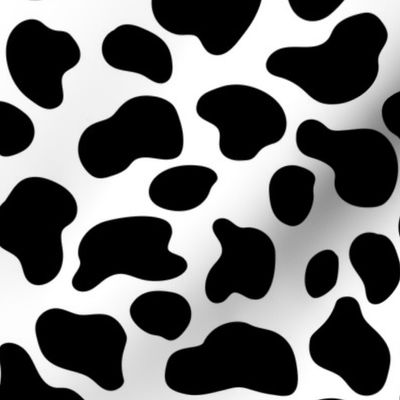 Holstein cow - dairy cow - cow spots -  LAD20