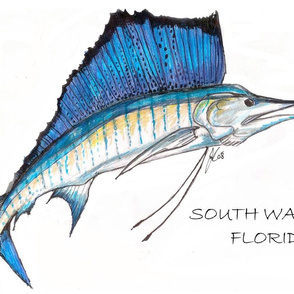 Sailfish