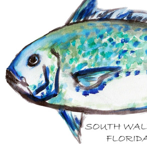 blue_fish_SOUTH_WALTON