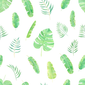 tropical leaves