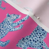 Leopard Parade Blue on Hot Pink