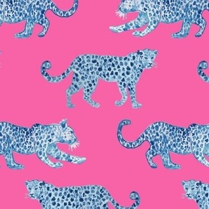 Leopard Parade Blue on Hot Pink