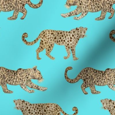 Leopard Parade Bright Turquoise