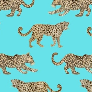 Leopard Parade Bright Turquoise