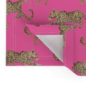 Leopard Parade hot pink