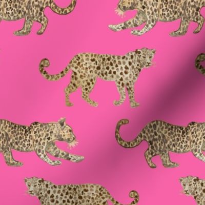 Leopard Parade hot pink