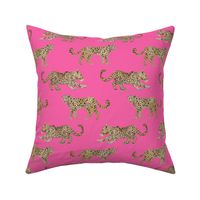 Leopard Parade hot pink