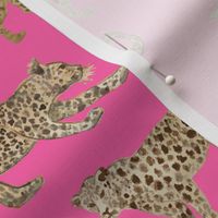 Leopard Parade hot pink