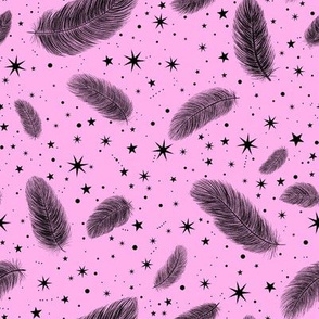 Feathers and Stars Black on Pink