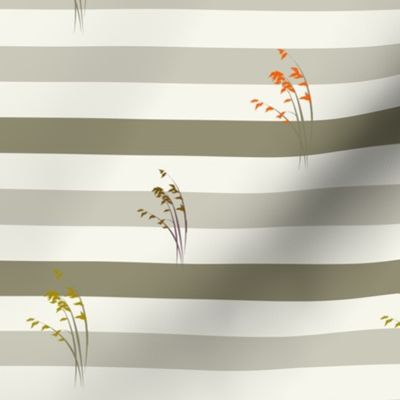 Stripes, grasses