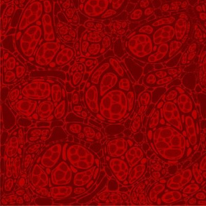Microscopic cells - shade of red