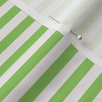 cestlavivid_mistletoe_green_stripe