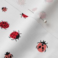 ladybird mini fabric - ditsy ladybird fabric, ladybugs - white