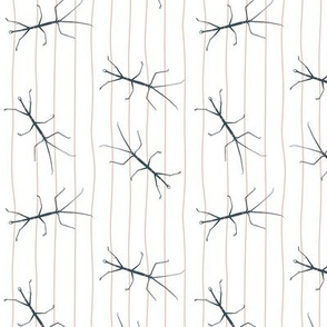 Stick insects on lines