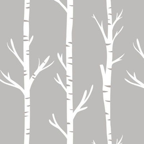 birch trees