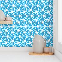 Geometric Pattern: Hexagon Ray: Blue White