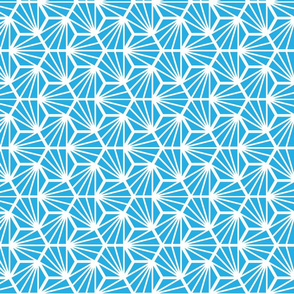 Geometric Pattern: Hexagon Ray: Blue White