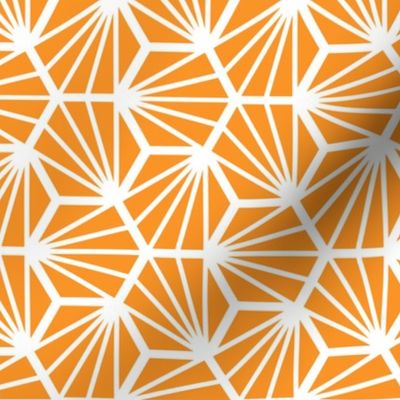 Geometric Pattern: Hexagon Ray: Orange White