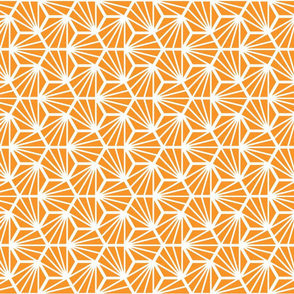 Geometric Pattern: Hexagon Ray: Orange White