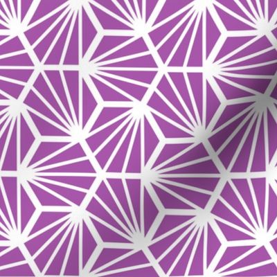 Geometric Pattern: Hexagon Ray: Purple White