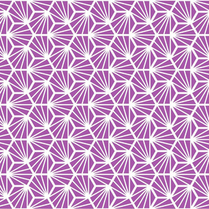 Geometric Pattern: Hexagon Ray: Purple White