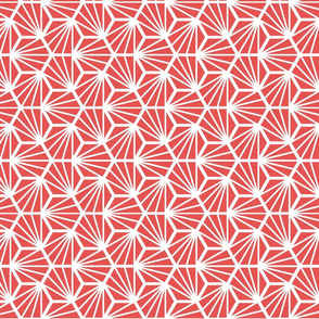 Geometric Pattern: Hexagon Ray: Red White