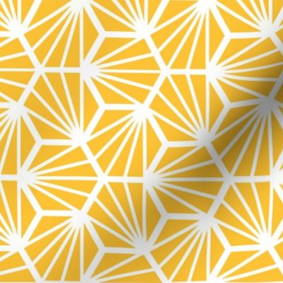 Geometric Pattern: Hexagon Ray: Yellow White