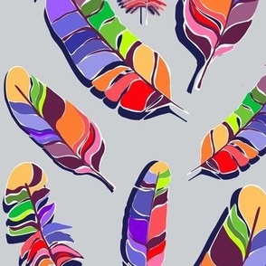 Rainbow coloured feathers 