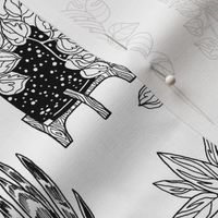 houseplants - black + white - coloringbook