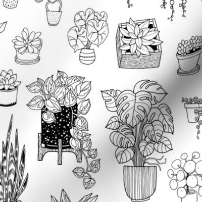 houseplants - black + white - coloringbook