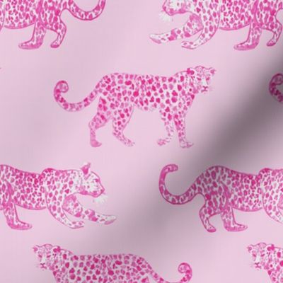 Leopard Parade Light Pink with Hot Pink