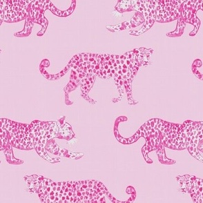 Leopard Parade Light Pink with Hot Pink