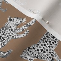 Leopard Parade Cocoa with Black and white