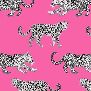 Leopard Parade Hot Pink with Black and white