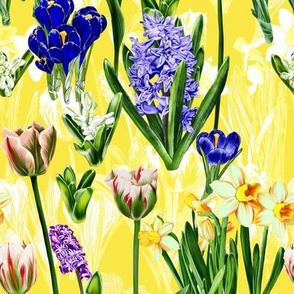 spring flowers on a yellow background