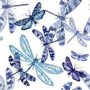 blue dragonflies