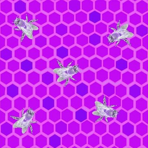 Modern quilt purple honey with pink grid