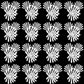Fan Flare Fireworks! #2 White on Black, medium