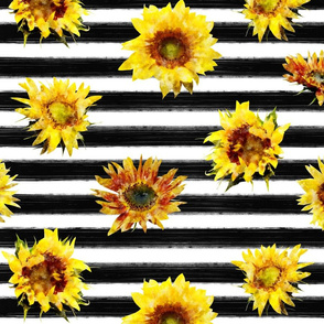 Sunflowers on stripes - black and white