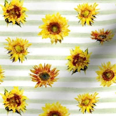 7” Sunflowers on stripes - light green