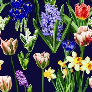 Spring Flowers on a dark blue background