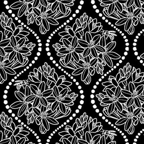 Ixia Ogee-White On Black