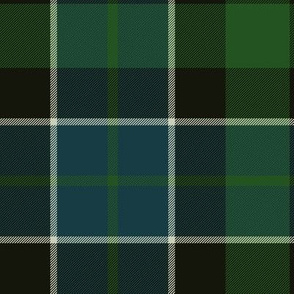 Graham of Montrose tartan #2, 10" dark