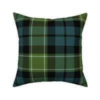 Graham / Graham of Montrose tartan, 10" muted