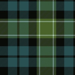 Graham / Graham of Montrose tartan, 6" muted