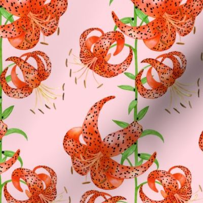 Tiger Lilies (Pink Background)