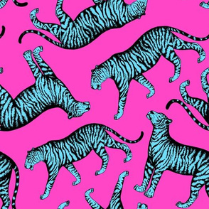 Tigers (Magenta and Blue)