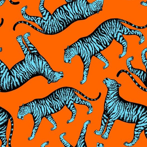 Tigers (Orange and Blue)